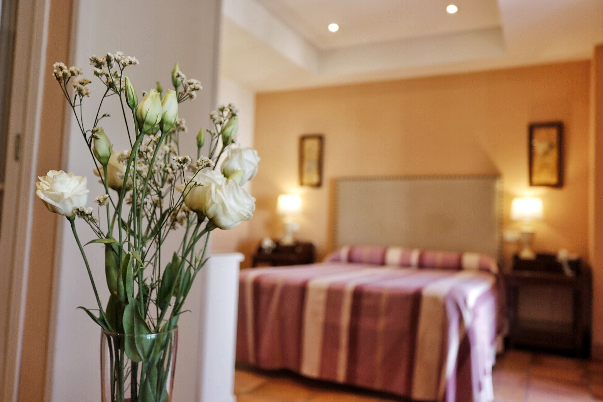 Foto - Hotel Veracruz