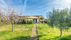 A house with a paved pathway leading to the entrance, surrounded by green grass and trees. - Lavender by Interhome (Pomaia)