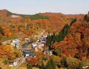 Land view from property
