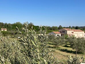 Property grounds - Vacation home in Malaucène, at the foot of the Ventoux, in a peaceful setting not overlooked (Malaucène)