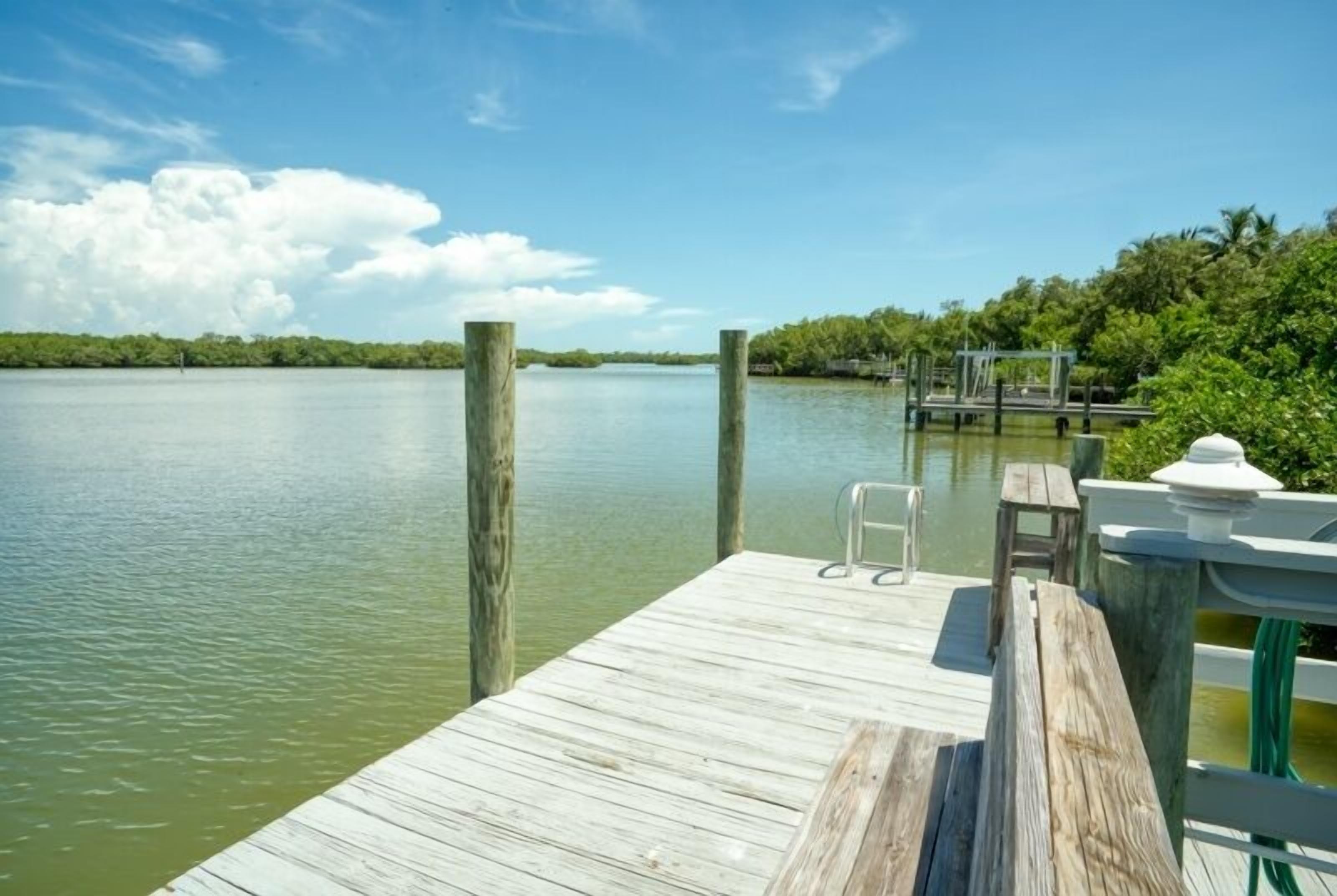 A wooden dock extending into calm water, surrounded by lush greenery and a clear sky.