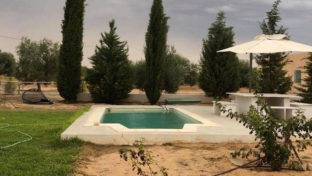 A rectangular pool with a white border, surrounded by a grassy area and tall evergreen trees. - Cheerful 2-bedroom Villa With Pool (Nasrallah)