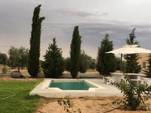 A rectangular pool with a white border, surrounded by a grassy area and tall evergreen trees.