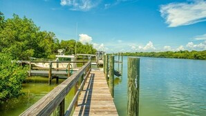 A wooden dock extending into a calm body of water, surrounded by lush greenery and a clear blue sky.