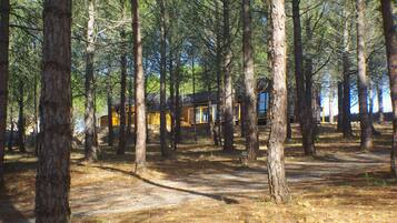 Terrein van de accommodatie