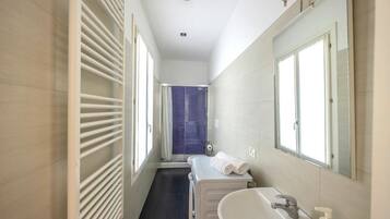 Shower, hair dryer, bidet, towels