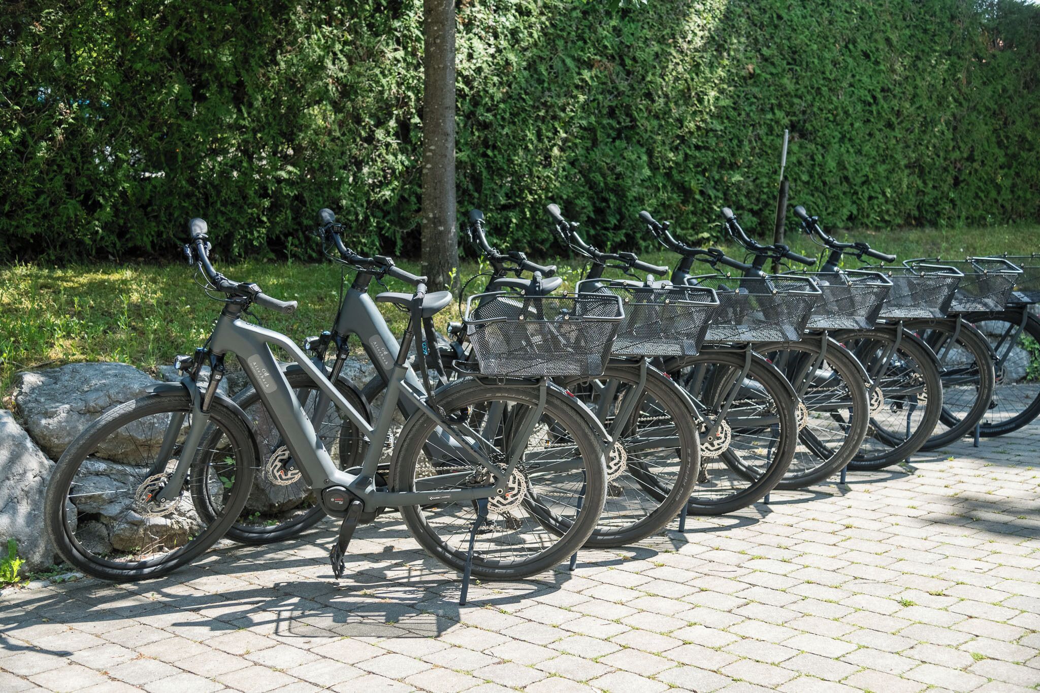 Uma fileira de bicicletas com cestas, estacionadas em superfície pavimentada, com uma sebe ao fundo.