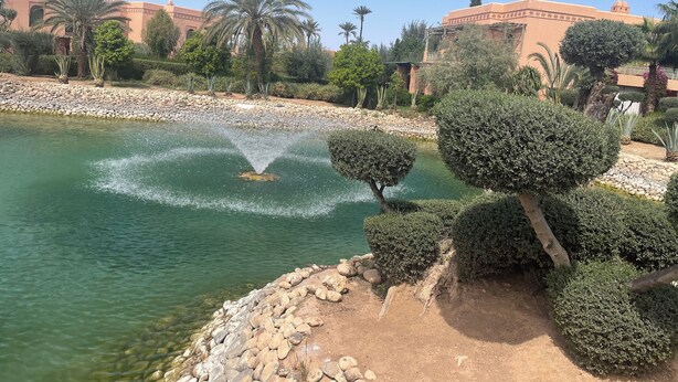 A landscaped area with a water feature, palm trees, and a building with traditional architecture. - Au Coeur De La Palmeraie De Marrakech  (Marrakech)