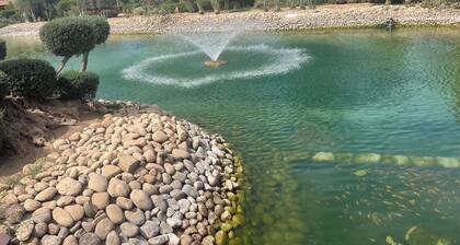 Au Coeur De La Palmeraie De Marrakech