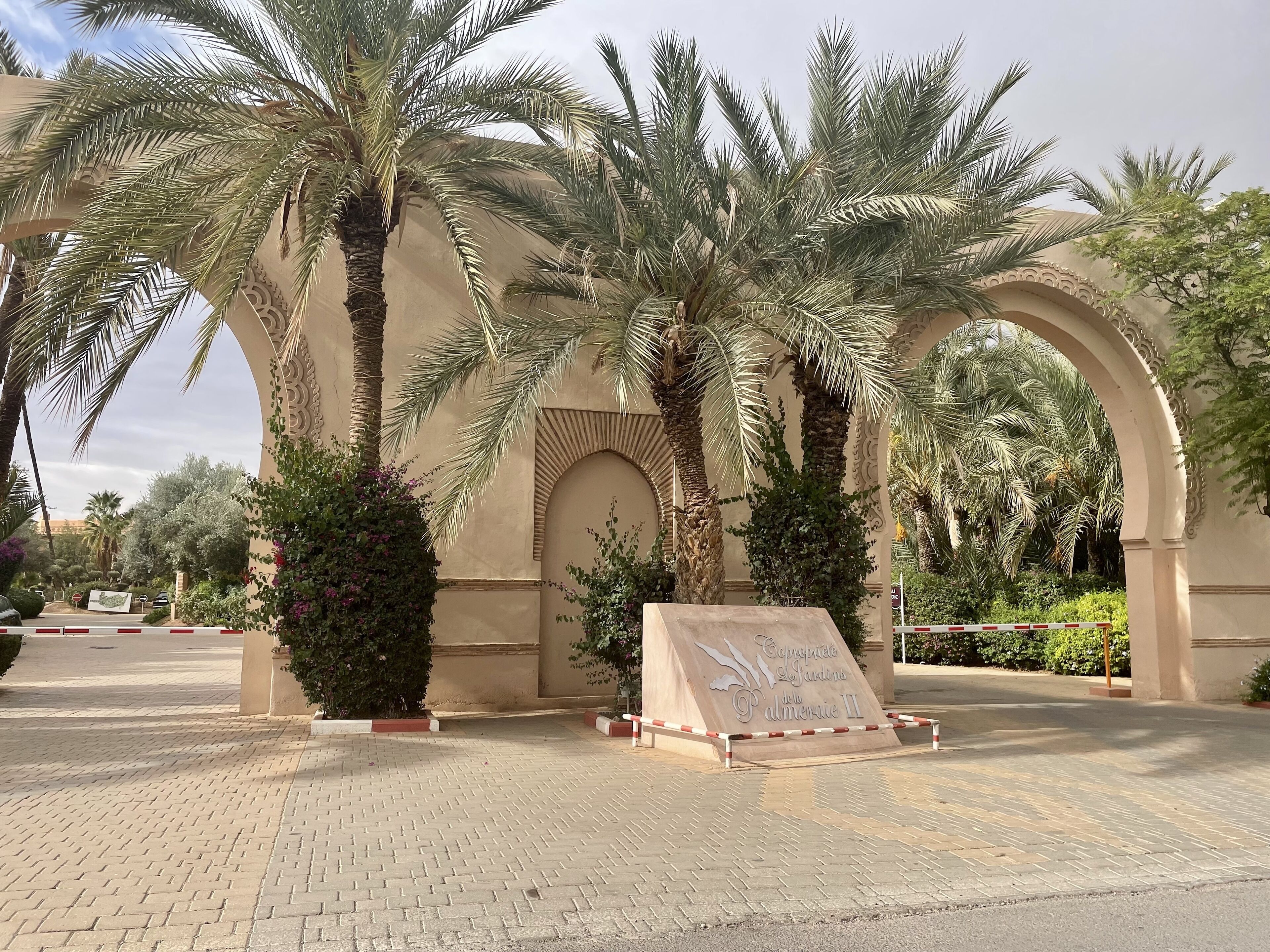 A paved entrance with palm trees and an arched structure.