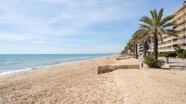 Ein Strand mit einer Reihe von Palmen und einem Gebäude mit Balkonen.