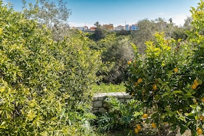 A garden with stone walls, dense foliage, and a distant view of colorful houses.