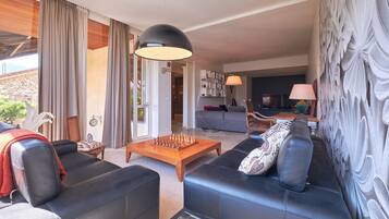 Télévision, cheminée, lecteur de DVD