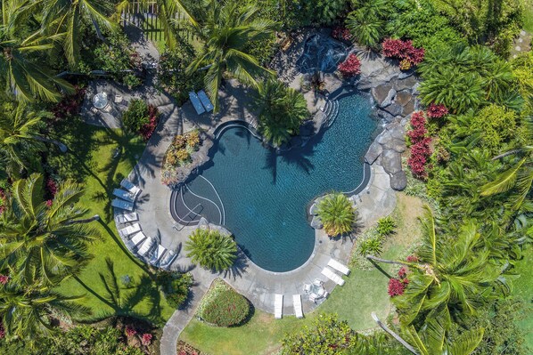 Vista aérea de un resort con una piscina central rodeada de sillones de descanso y palmeras.