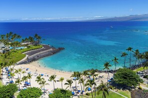 A beach with clear turquoise water, palm trees, and a rocky shoreline.