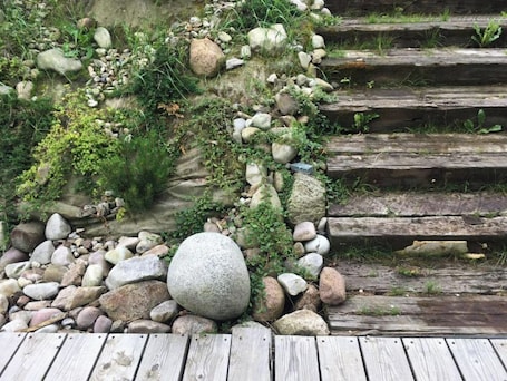 Property grounds. Chalet pres des sources