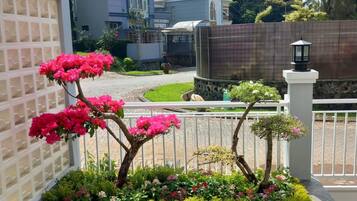 Garden view