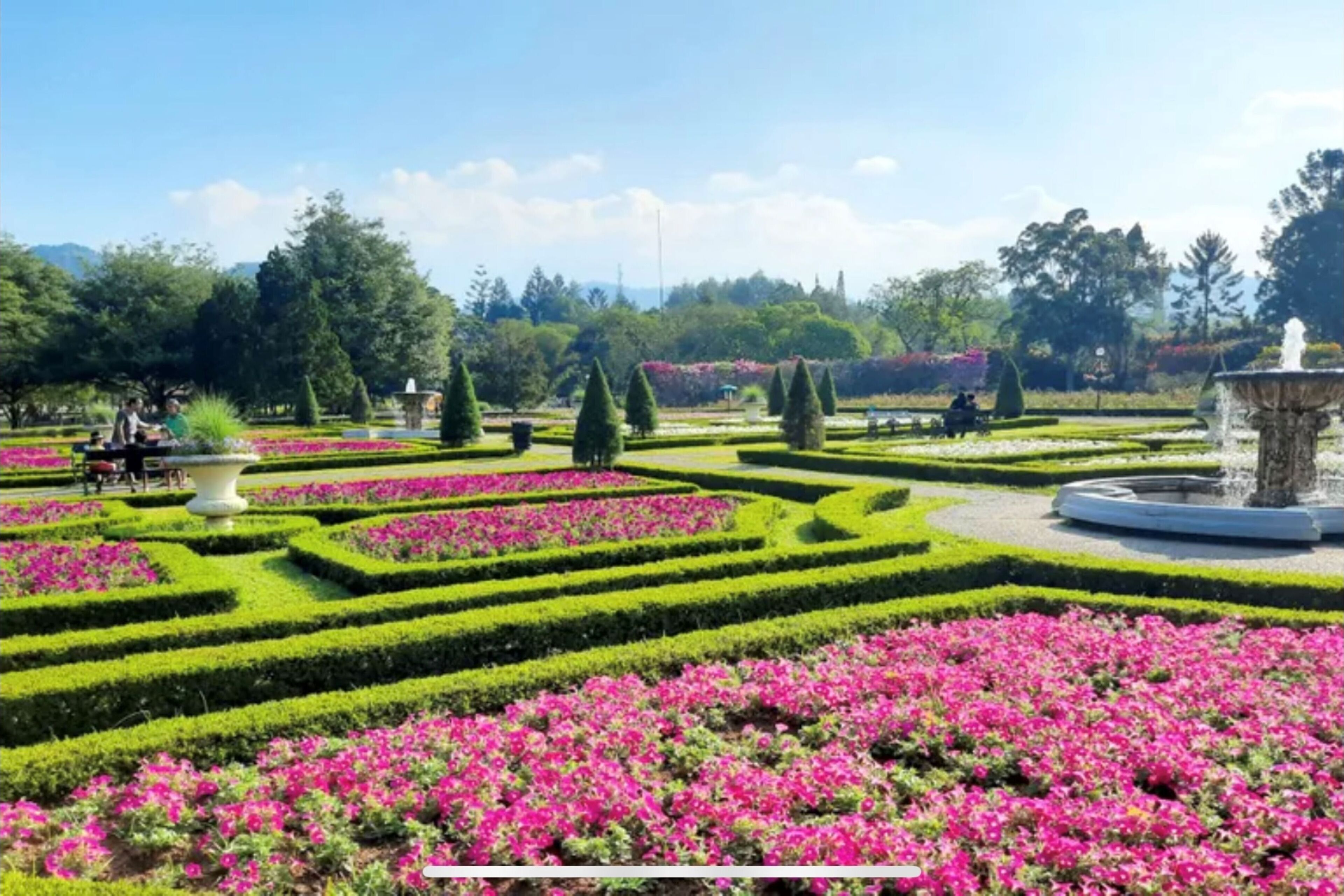 A formal garden with geometric hedges, a central fountain, and a variety of flowering plants.
