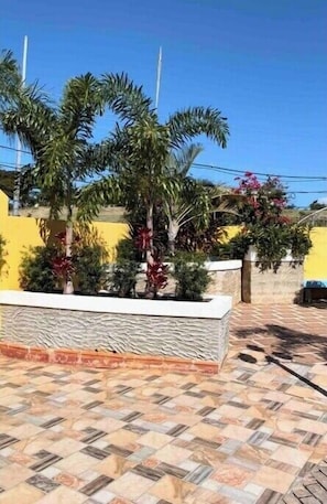 Property grounds - Hotel Boutique Calizo 7 (Fajardo)