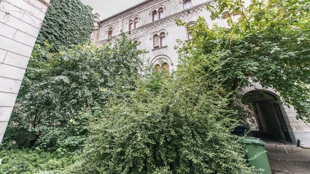 Um edifício histórico com arquitetura elaborada, rodeado por vegetação densa.