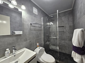 Séchoir à cheveux, serviettes fournies, papier de toilette
