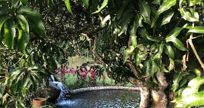 Finca Villa Nodier Barbosa Antioquia