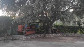 Terrein van de accommodatie