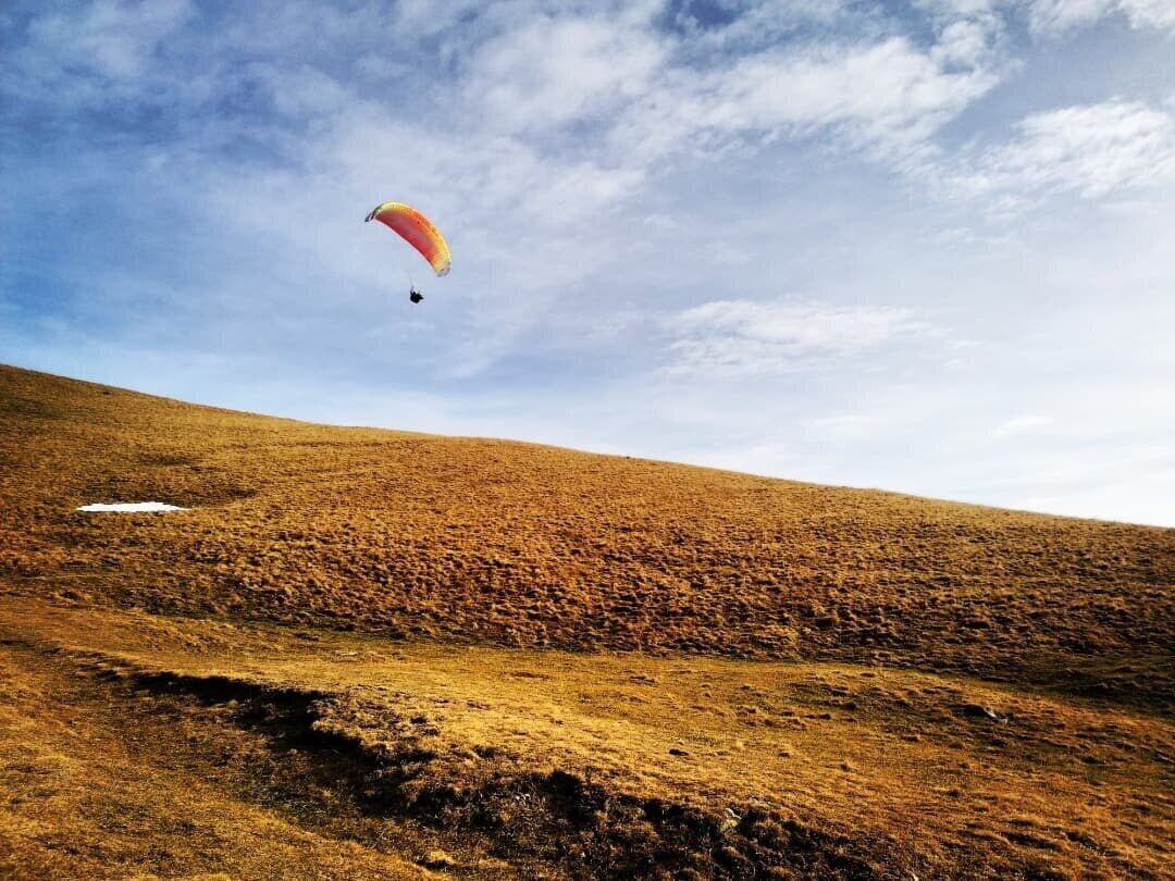 Una persona che vola in parapendio sopra una collina erbosa sotto un cielo sereno.