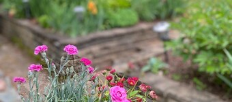 Ranch style living at its best with country garden & patio!