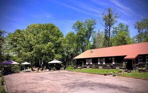 Exterior - Unique and charming, exquisitely themed Log Cabin (Hamilton)