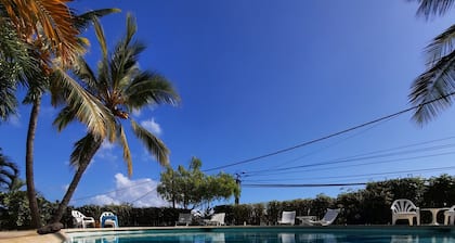 Bungalow Eco-Responsable dans jardin tropical