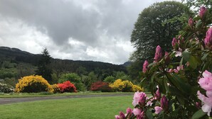 Un camp verd i frondós amb flors roses al primer pla i arbres colorats al fons.