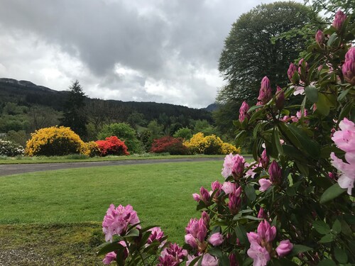 Cottage retreat in wooded secluded private grounds