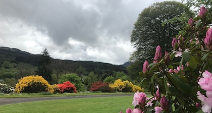 Cottage retreat in wooded secluded private grounds