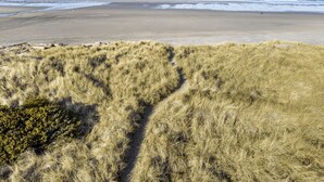 A beach with a sandy shore and grassy dunes. - Relax and unwind in a tranquil space one block from the beach (Manzanita)