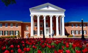 A building with a central portico supported by columns, surrounded by a field of red tulips.