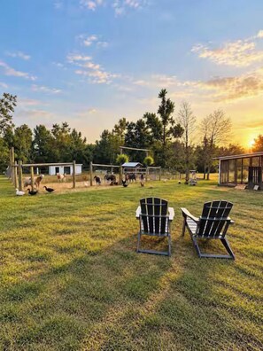A grassy outdoor area with two Adirondack chairs, a small building, and a fenced area with animals. - The Cottage, Firepit+ Animals, VelvetDitchVillas (Oxford)