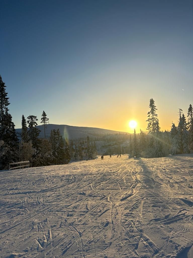 A snowy landscape with a ski slope, trees, and a clear sky.