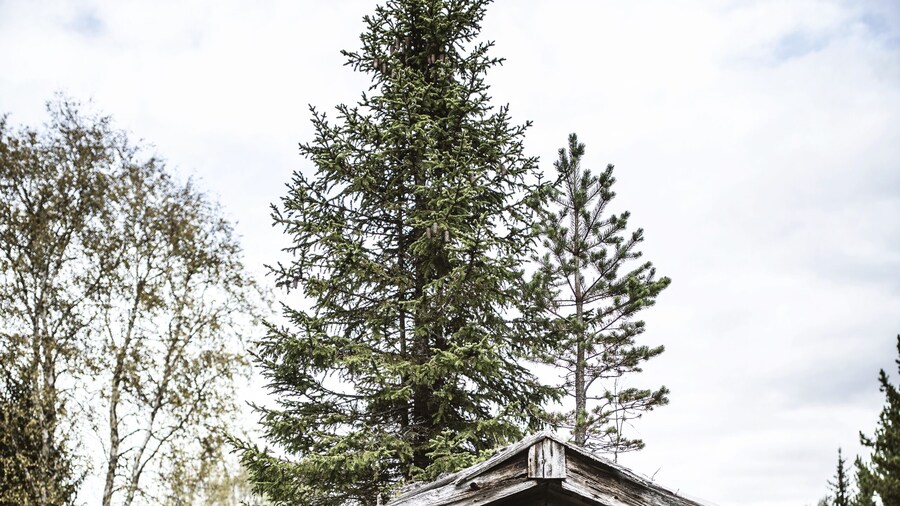 Nederhögen Vildmarkscenter