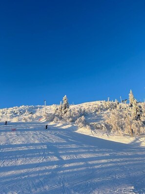 Snow and ski sports - Hotel Nederhögen Vildmarkscenter (Rätan)