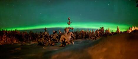 Paseos en raquetas de nieve