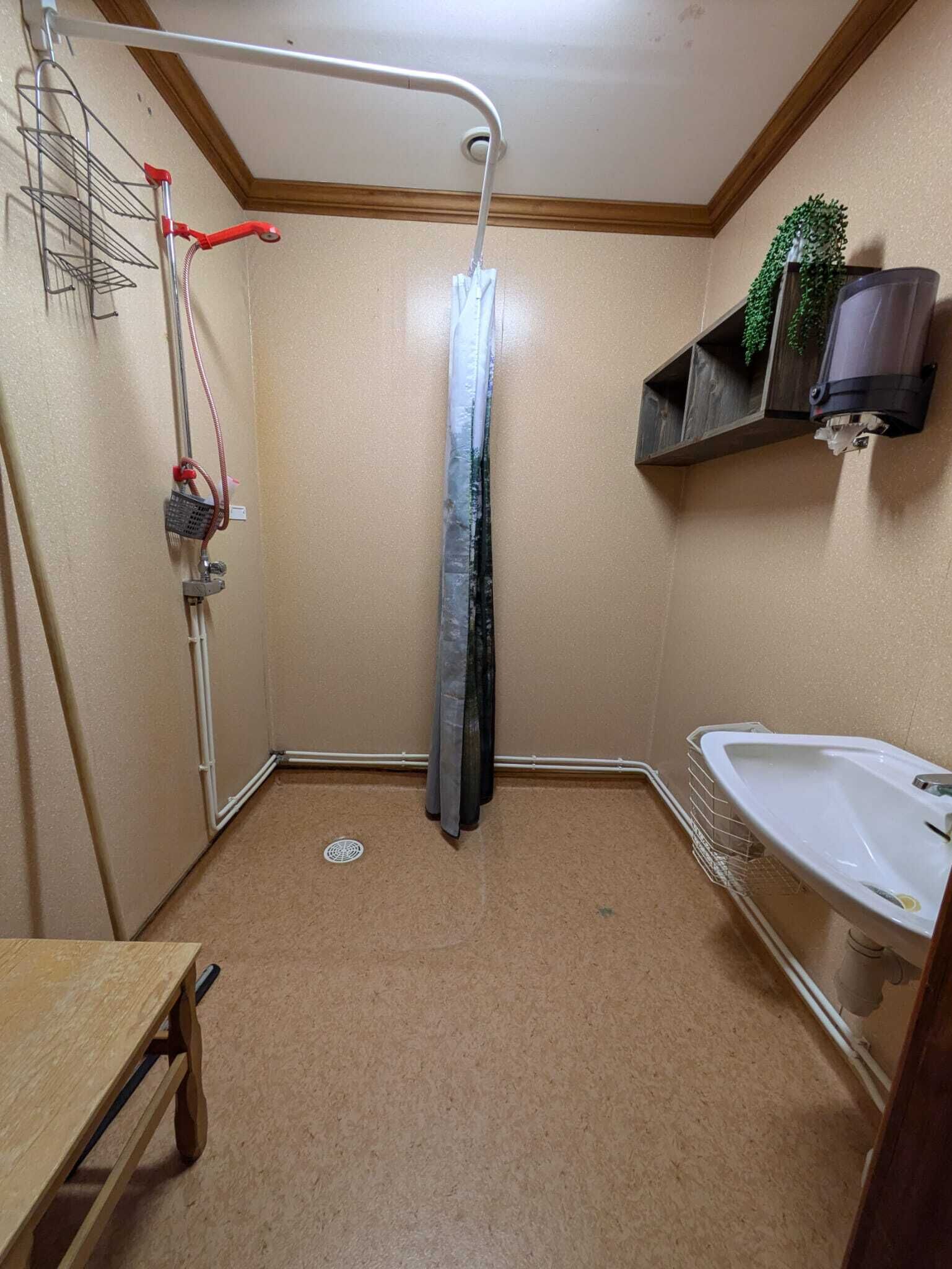 A small bathroom with a shower, a sink, and a wooden shelf with a plant.
