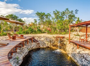 Property grounds - Luxury and Nature Together + BBQ + Cenotes (Tulum)
