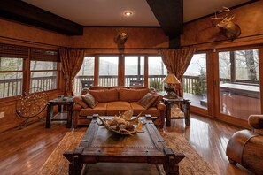TV, fireplace, DVD player, books