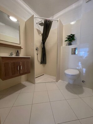 Shower, hair dryer, towels, toilet paper