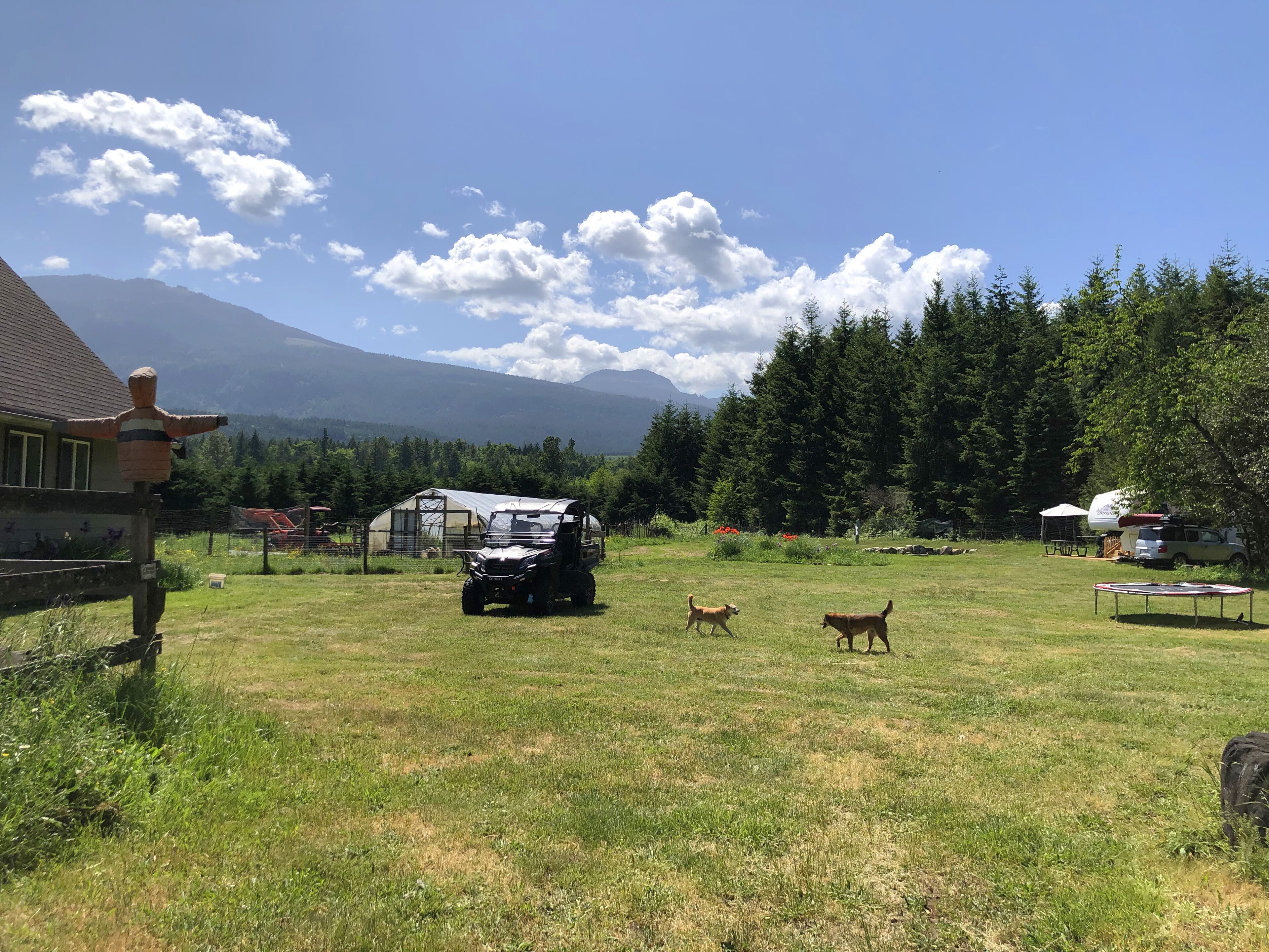 A grassy field with a house, a greenhouse, and a vehicle.