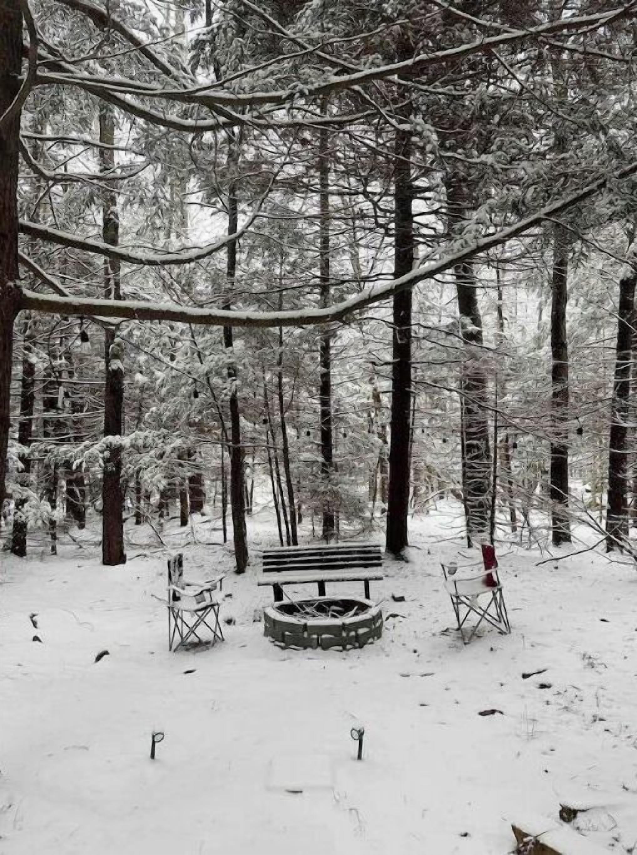 A snow-covered forest with a bench and a fire pit.
