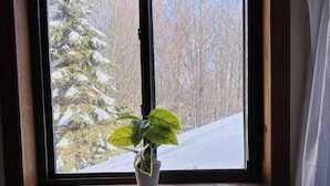 Ikkunasta avautuu näkymä lumipeitteisiin puihin, ja ikkunalaudalla on ruukussa oleva kasvi.