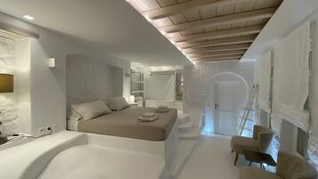 Una camera da letto moderna con un letto grande, un divano piccolo e una cabina armadio.