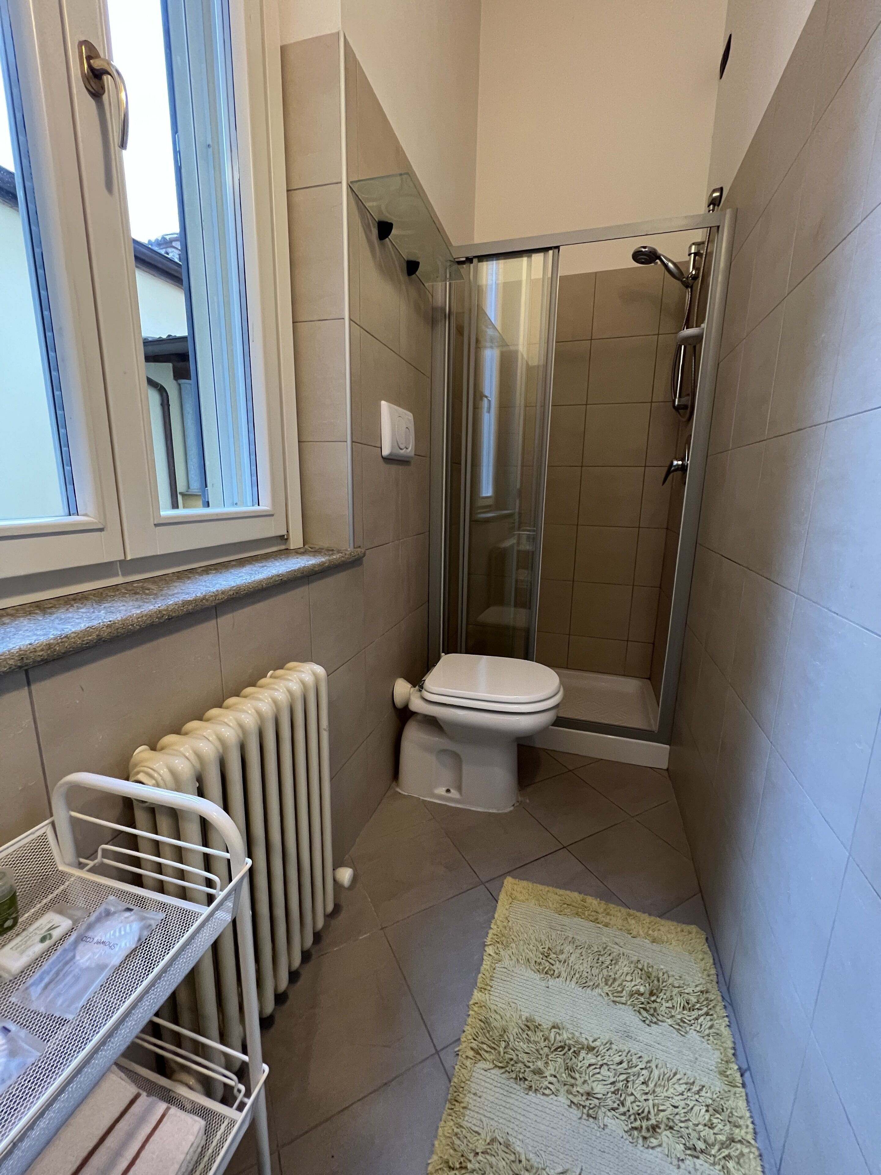 Une petite salle de bain comprenant des toilettes, une douche et un radiateur.